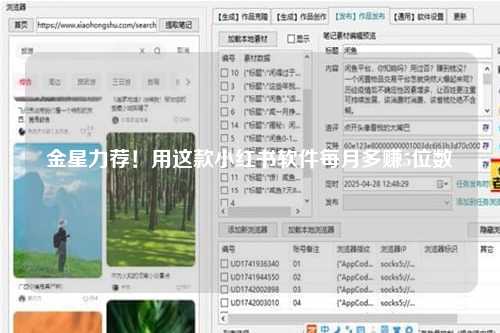 金星力荐！用这款小红书软件每月多赚5位数