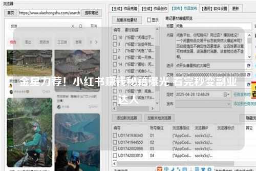 金星力荐！小红书赚钱秘籍曝光 看完秒变副业达人