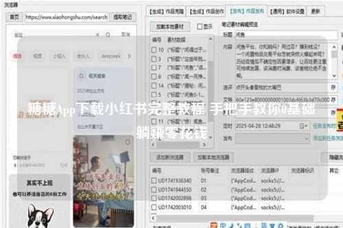 糖糖App下载小红书完整教程 手把手教你0基础躺赚零花钱