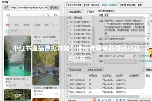 小红书直播数据神器！谁用谁爆单的赚钱秘籍大公开