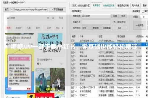 糖糖APP一键下载小红书，零基础也能轻松赚钱