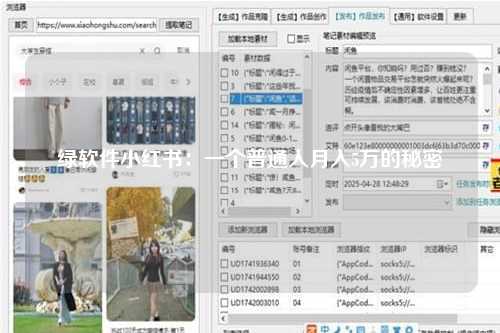 绿软件小红书：一个普通人月入5万的秘密