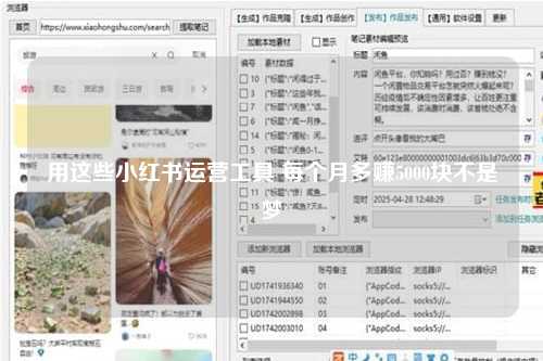 用这些小红书运营工具 每个月多赚5000块不是梦