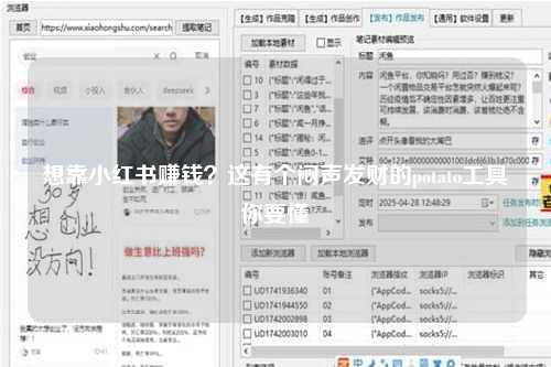 想靠小红书赚钱？这有个闷声发财的potato工具你要懂