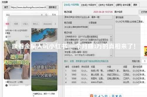 跟着金星入坑小红书 一个月赚3万的真相来了！