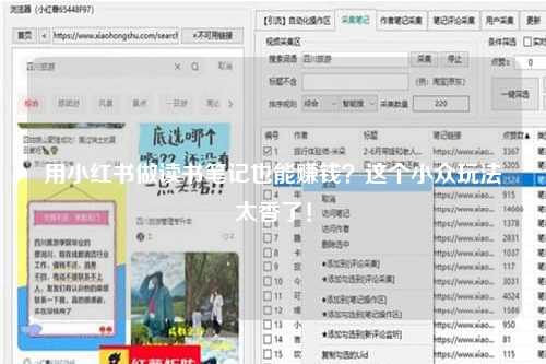 用小红书做读书笔记也能赚钱？这个小众玩法太香了！