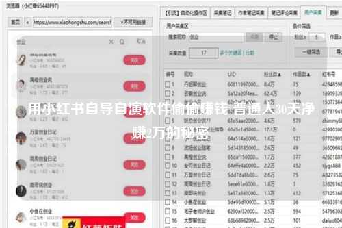 用小红书自导自演软件偷偷赚钱 普通人30天净赚2万的秘密