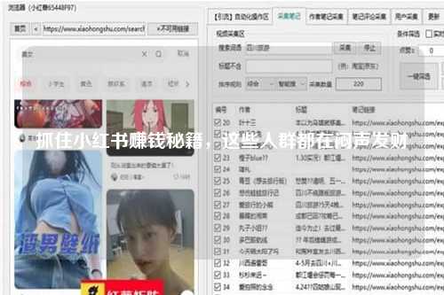 抓住小红书赚钱秘籍，这些人群都在闷声发财