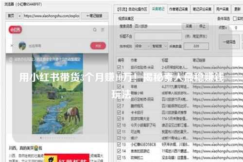 用小红书带货3个月赚10万！揭秘素人最稳赚钱玩法
