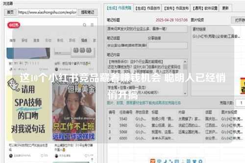 这10个小红书竞品藏着赚钱机会 聪明人已经悄悄开搞