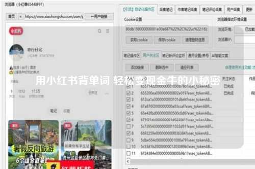 用小红书背单词 轻松变现金牛的小秘密