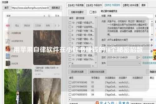 用苹果自律软件在小红书赚钱的10个秘密招数
