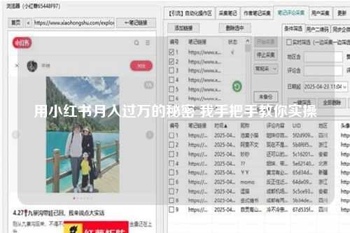 用小红书月入过万的秘密 我手把手教你实操