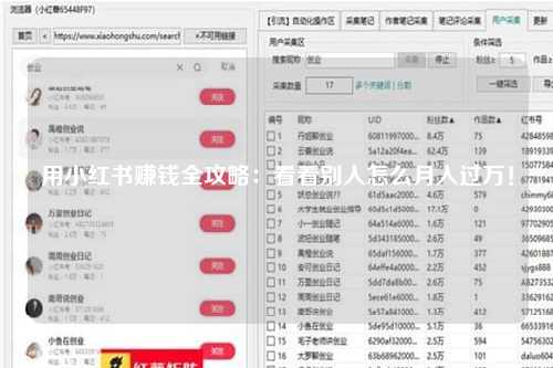 用小红书赚钱全攻略：看看别人怎么月入过万！
